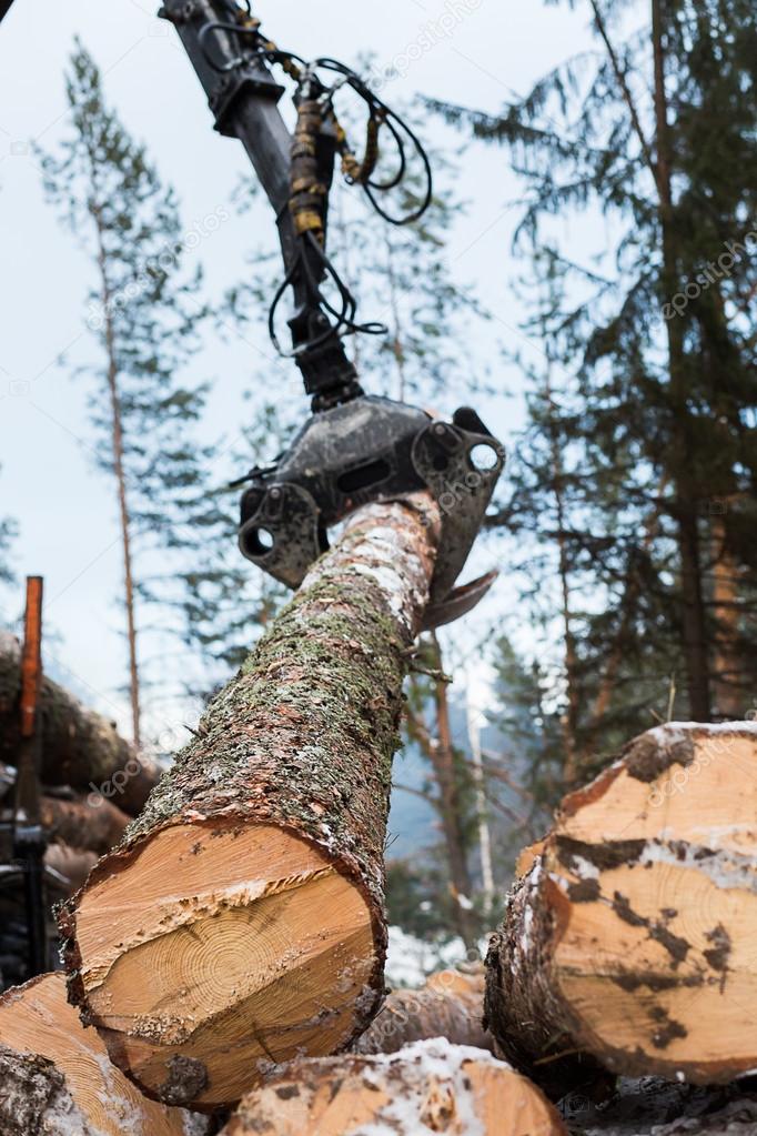 Tree log hydraulic manipulator