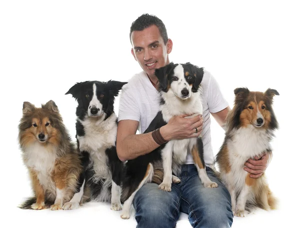 Four beautiful dogs and man — Stock Photo, Image