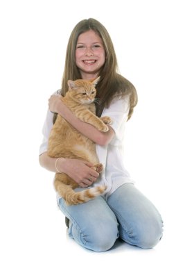 Studio zencefil kedi