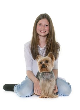 Yorkshire terrier ve genç