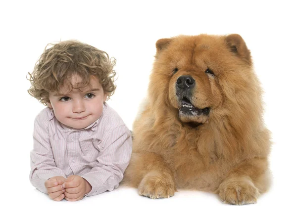 Chow chow and boy — Stock Photo, Image