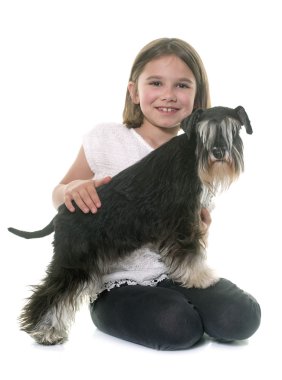 çocuk ve minyatür schnauzer