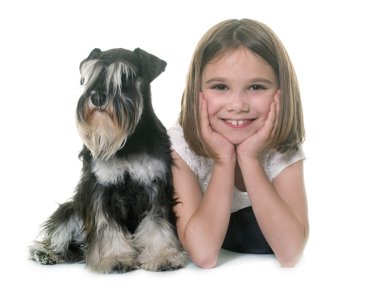 çocuk ve minyatür schnauzer