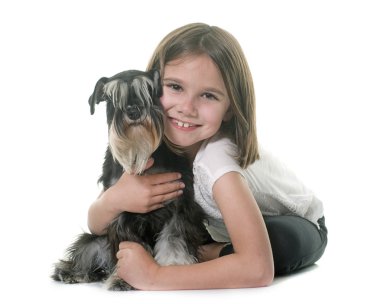 çocuk ve minyatür schnauzer