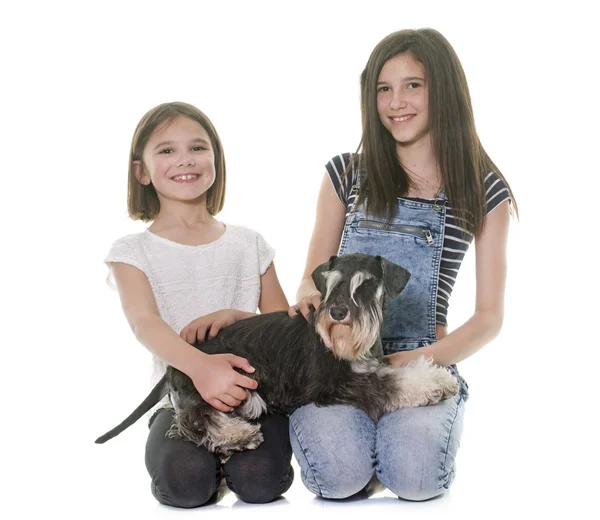 Children and miniature schnauzer — Stock Photo, Image