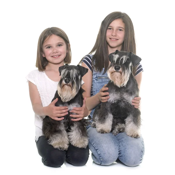 çocuk ve minyatür schnauzer