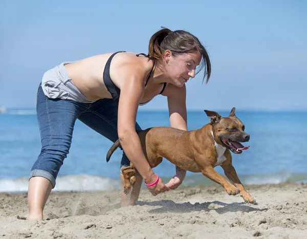 犬のビーチでジャンプ — ストック写真