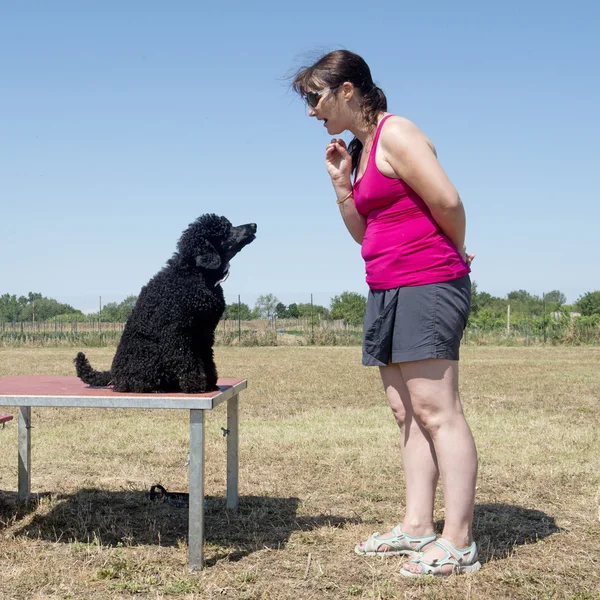 Mulher e poodle — Fotografia de Stock