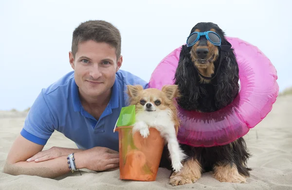 Человек и собаки на пляже — стоковое фото