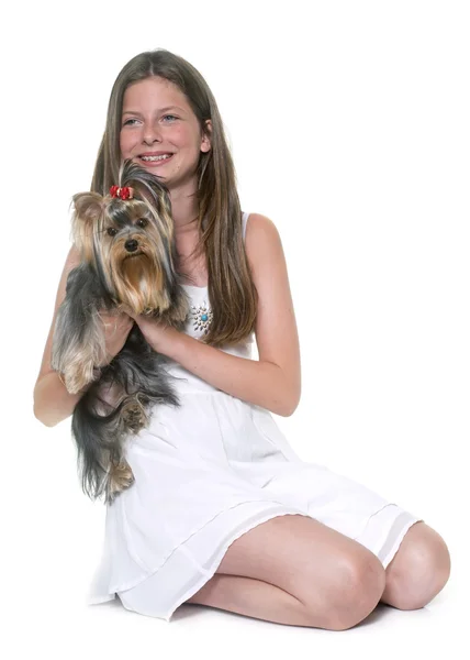 Joven yorkshire terrier y niño — Foto de Stock
