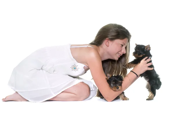 Jovem yorkshire terrier e criança — Fotografia de Stock
