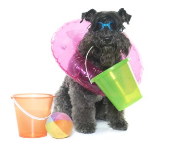 Kerry mavi korkunç ve plaj