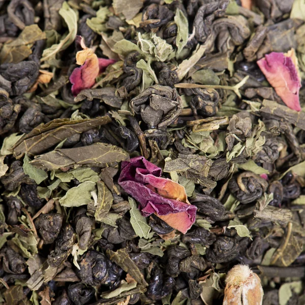 Té en el estudio — Foto de Stock