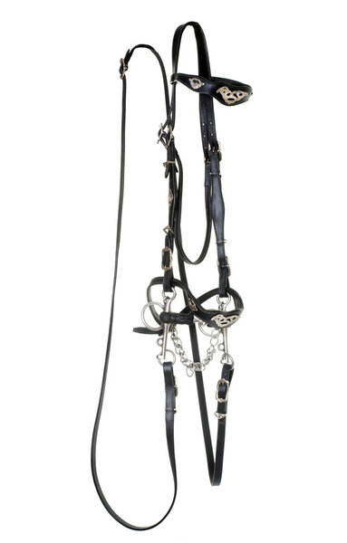 spanish bridle for horse