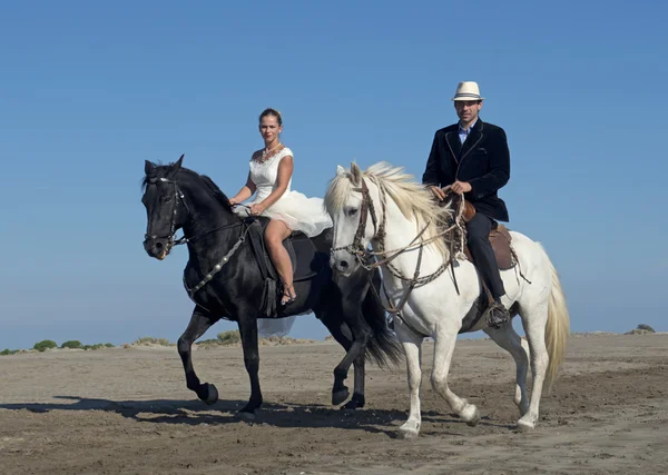 Marrieds och hästar — Stockfoto