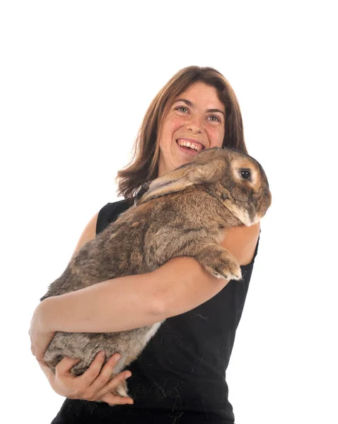 Coniglio Gigante Fiammingo Donna Davanti Allo Sfondo Bianco — Foto Stock