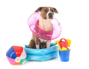 Beyaz arka planda American Stadyumu Teriyeri