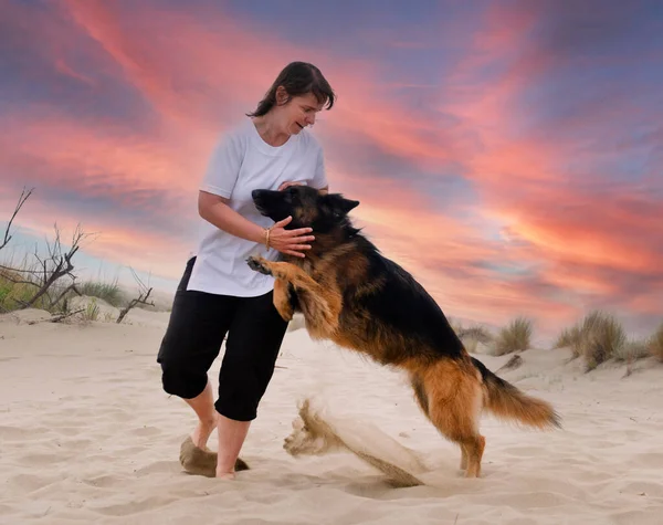 Femme Berger Allemand Jouant Sur Plage — Photo