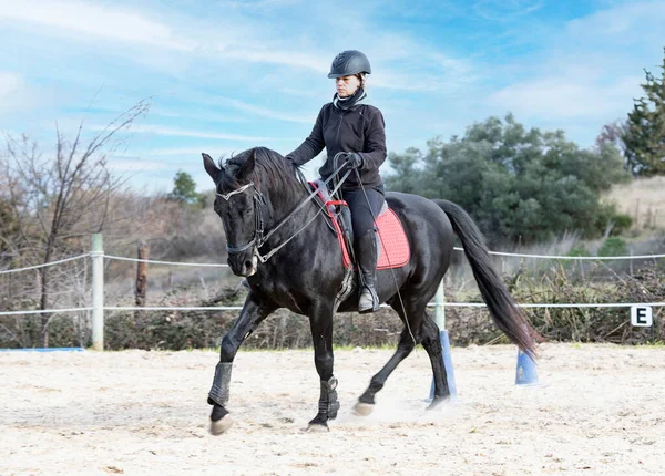 乗馬の女の子は黒い馬を訓練しています — ストック写真