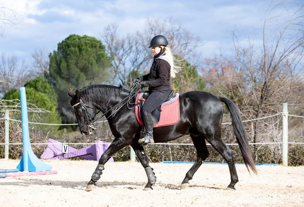 Reiterin Trainiert Ihr Schwarzes Pferd — Stockfoto