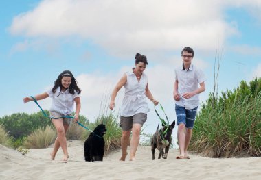 Bir aile sahilde köpekleriyle yürüyor.