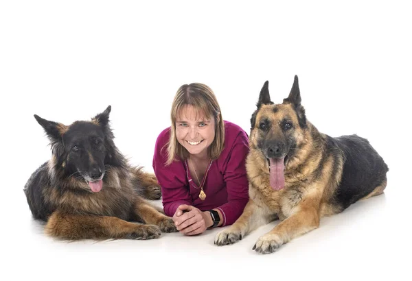 Alte Schäferhunde Und Frau Vor Weißem Hintergrund — Stockfoto
