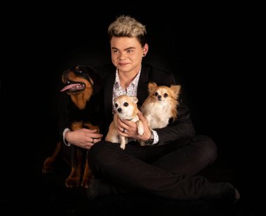 safkan Rottweiler, chihuahua ve genç siyah arkaplan önünde