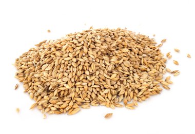 Beyaz arpa önünde arpa tohumları