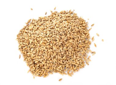 Beyaz arpa önünde arpa tohumları