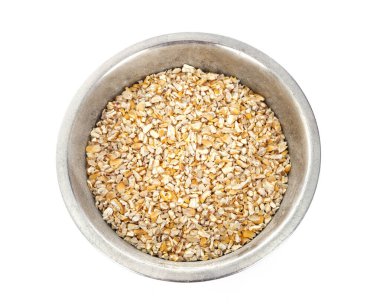 Beyaz arkaplan önünde kurumuş mısır