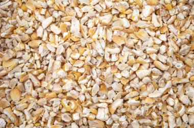 Beyaz arkaplan önünde kurumuş mısır