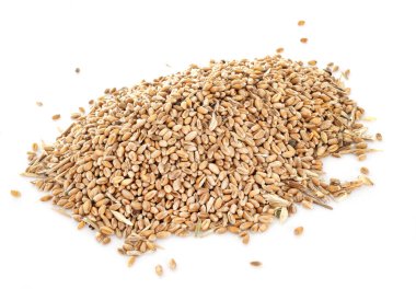 Beyaz arkaplan önünde buğday tohumları