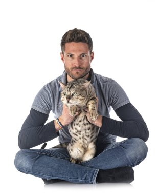 Bengal kedisi beyaz arka planda