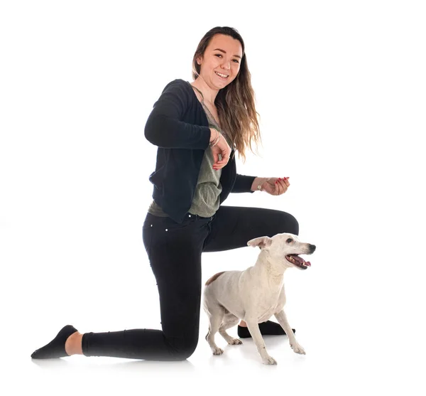 Jack Russel Terrier Vrouw Voorkant Van Witte Achtergrond — Stockfoto
