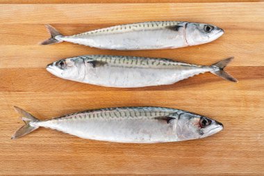 Beyaz arkaplan önünde uskumru balığı