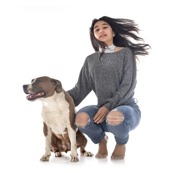 Amerikanischer Staffordshire Terrier Und Teenager Vor Weißem Hintergrund — Stockfoto