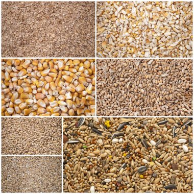 Hayvan maması için mısır gevreğinin birleşik resmi