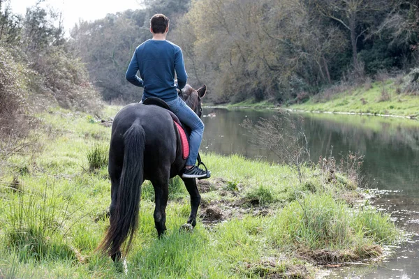 Equitação Homem Estão Treinando Ela Preto Cavalo — Fotografia de Stock