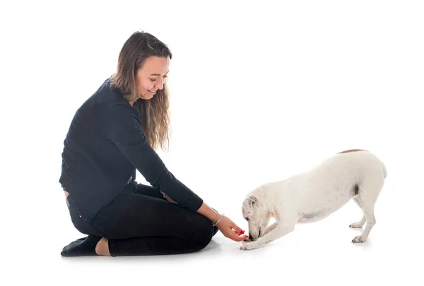 Jack Russel Terrier Mulher Frente Fundo Branco — Fotografia de Stock