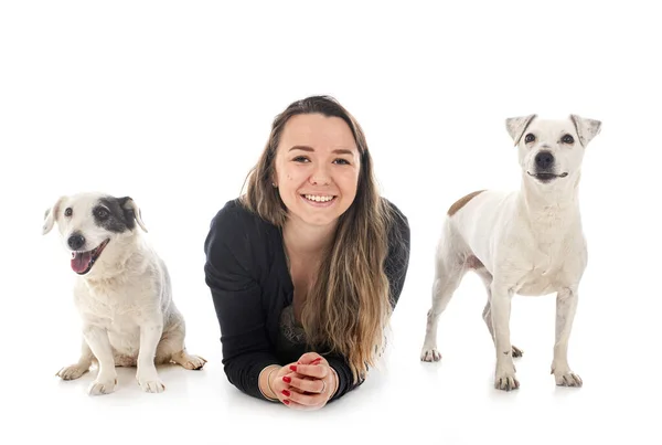 Jack Russel Terrier Mulher Frente Fundo Branco — Fotografia de Stock