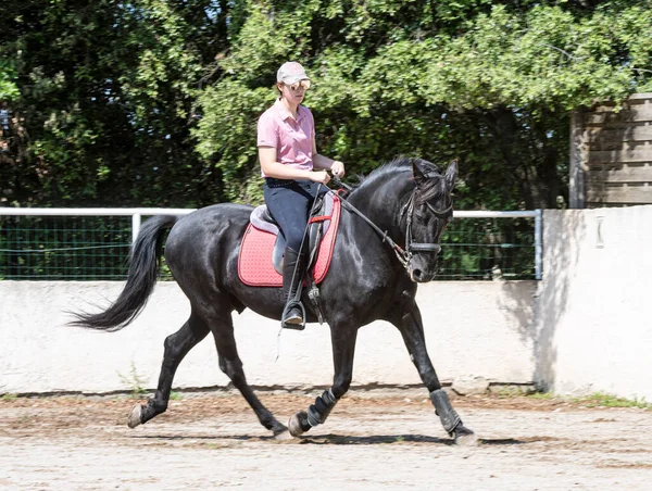 Equitação Menina Estão Treinando Ela Preto Cavalo — Fotografia de Stock