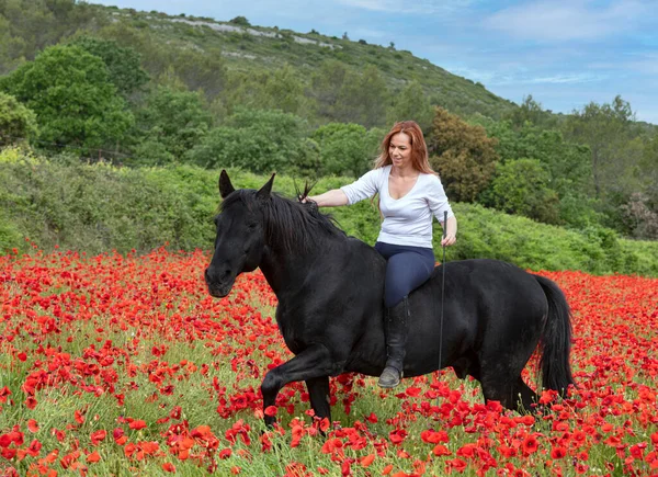 Equitazione Ragazza Sono Formazione Suo Nero Cavallo — Foto Stock