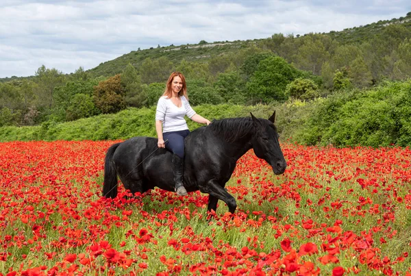 Equitação Menina Estão Treinando Ela Preto Cavalo — Fotografia de Stock