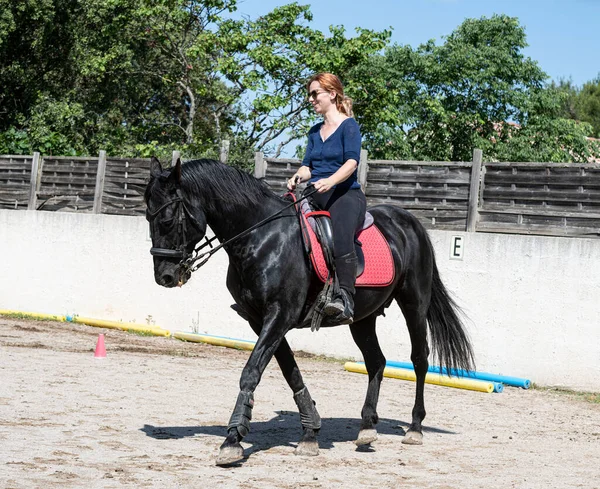 Reiterin Trainiert Ihr Schwarzes Pferd — Stockfoto