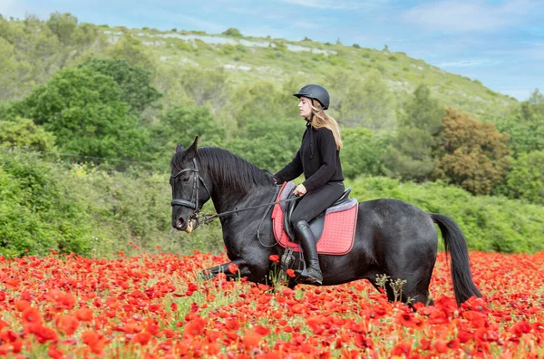 Equitação Menina Estão Treinando Ela Preto Cavalo — Fotografia de Stock