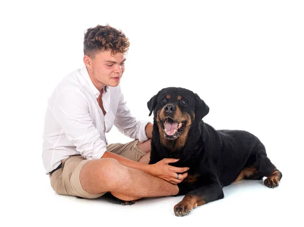 Safkan Rottweiler Beyaz Arka Planda Genç — Stok fotoğraf