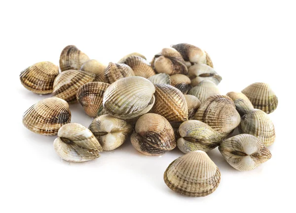 Fresh Cockles Front White Background — Stock Photo, Image