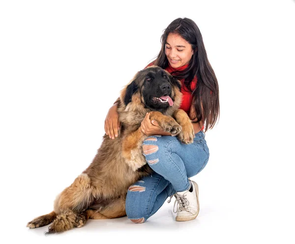 Junge Leonbergerin Und Frau Vor Weißem Hintergrund — Stockfoto