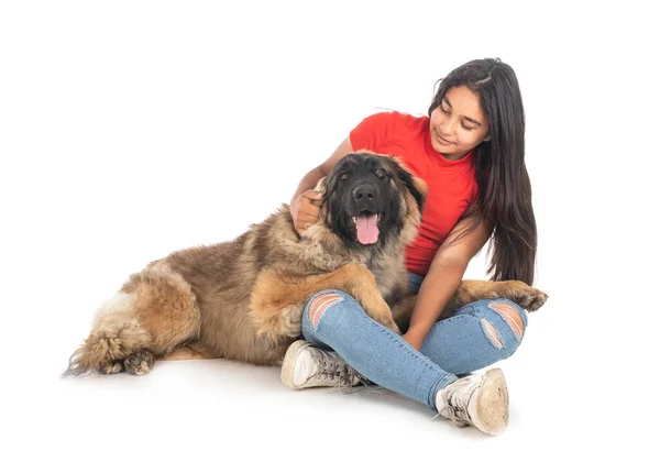 Junge Leonbergerin Und Frau Vor Weißem Hintergrund — Stockfoto