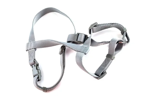 Gray Harness Front White Background — Stok Foto